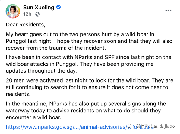 野猪夜闯组屋区紧咬女子腿拖1米后逃跑,目前全城抓捕中