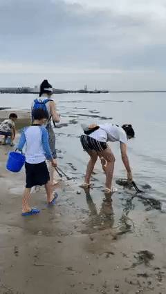 新加坡病例突然反彈,網友吐槽解封太快!學校開學通知來了