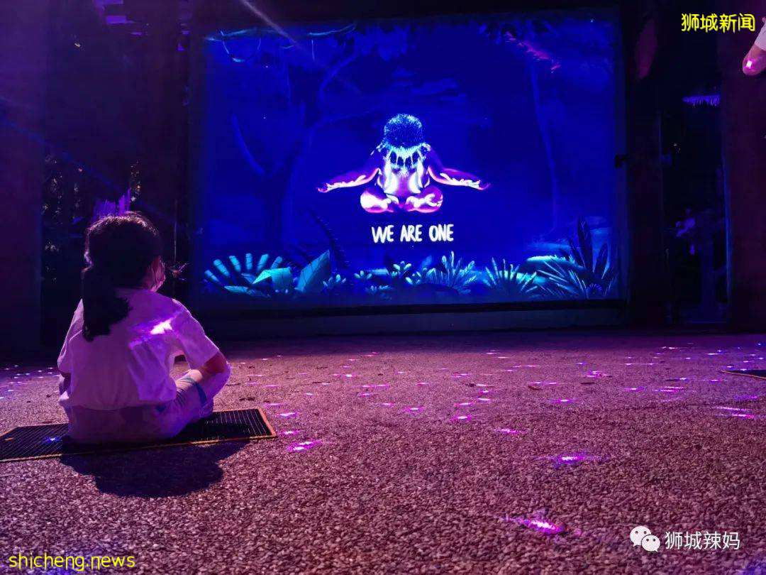 低至S$8！就3天！新加坡動物園“幻光雨林之夜”強勢回歸，亞洲第一夜遊體驗