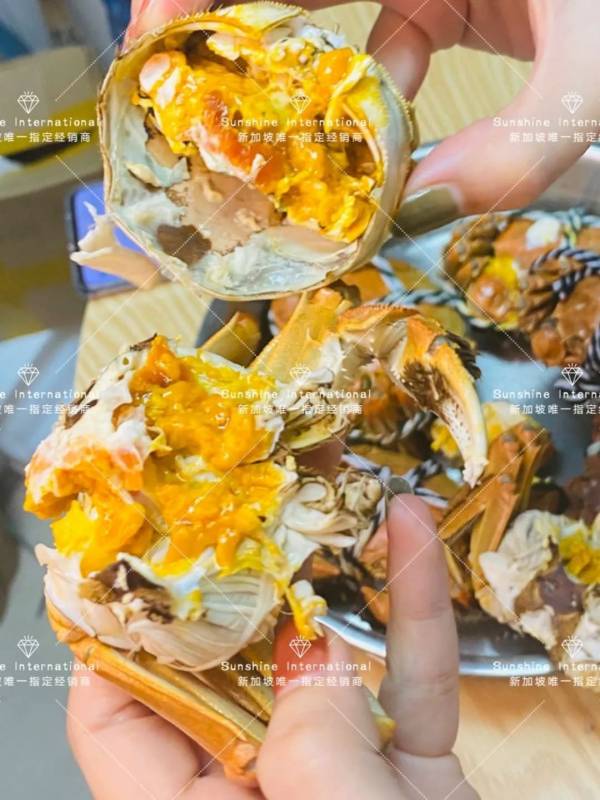 敢问肥蟹何处有,人人皆知阳澄湖！在新加坡也能吃到啦