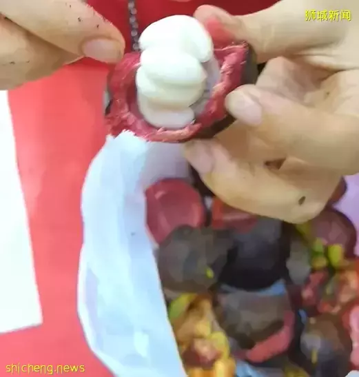 实拍实测！新加坡芽笼那些2元、5元的榴梿到底好吃吗