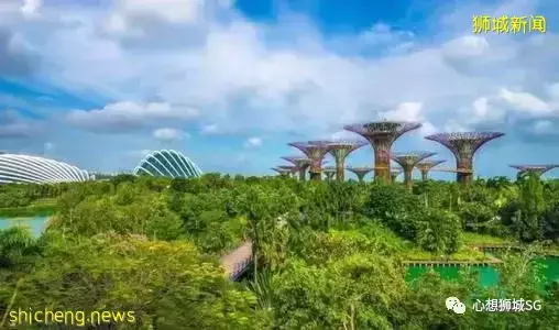 新加坡是全球最贵城市,除了工资不涨什么都在涨