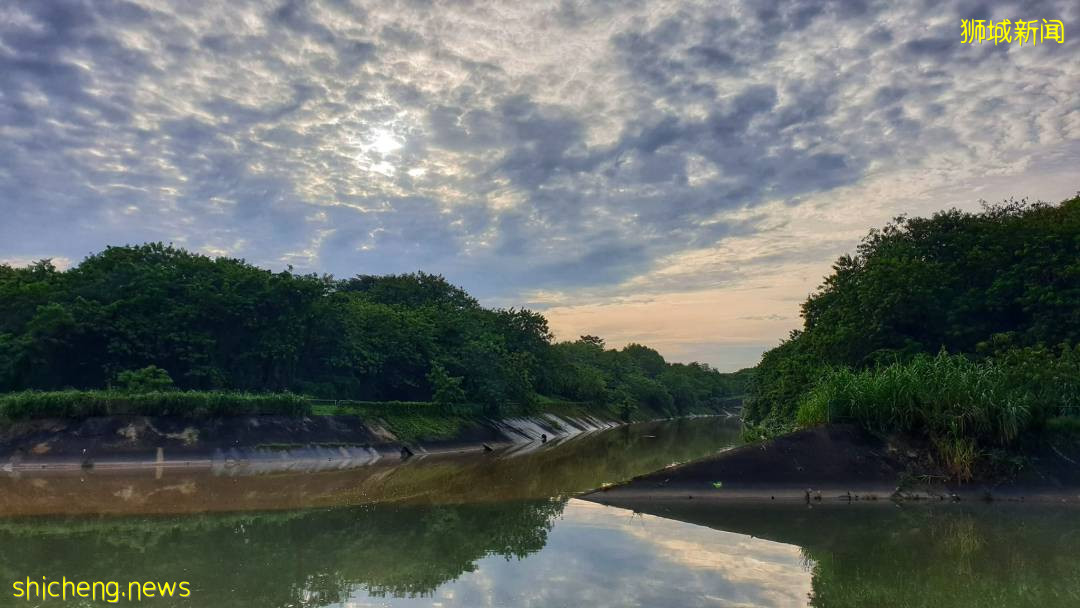 刷屏！黑雲壓城、電閃雷鳴...大雨前的新加坡超有“大片感”