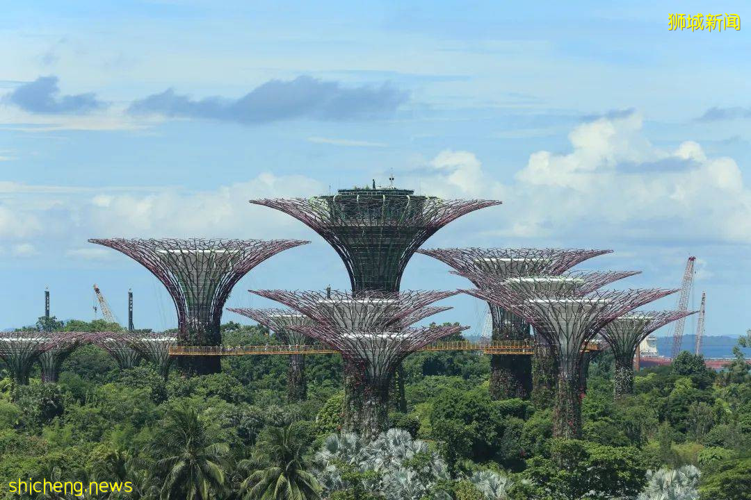 新加坡国立大学经济学术集训营录取通知书已到达!中学生该如何面对后疫情时代经济走向