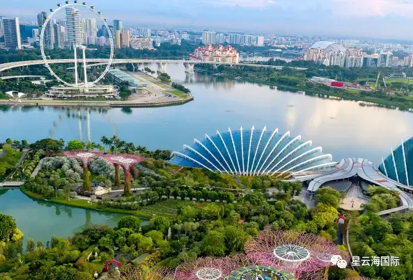 新加坡“辣招”降溫樓市，富豪無PR身份買房多花3億