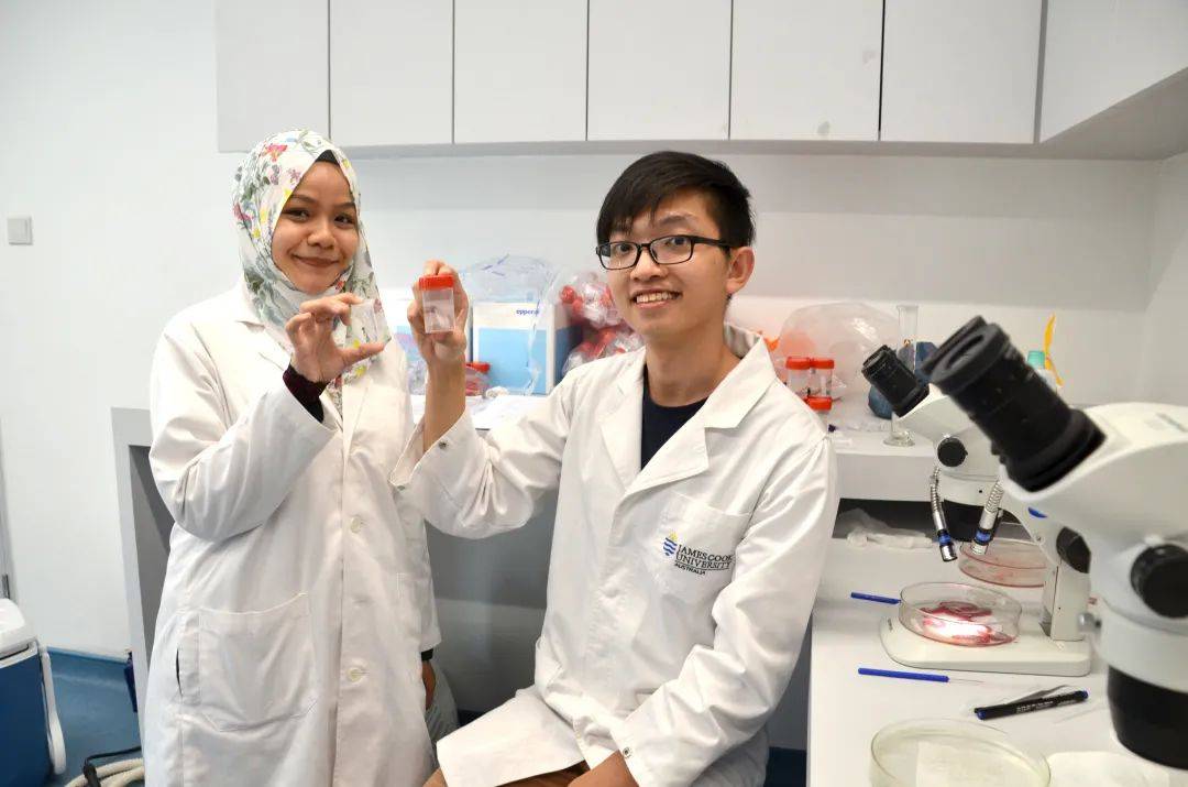 QS世界大学2021年学科排名发布，詹姆斯库克大学三项学科位列全球前100