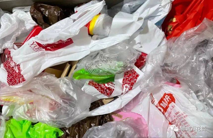 塑料袋在新加坡将不再免费，那其他城市怎么做的呢