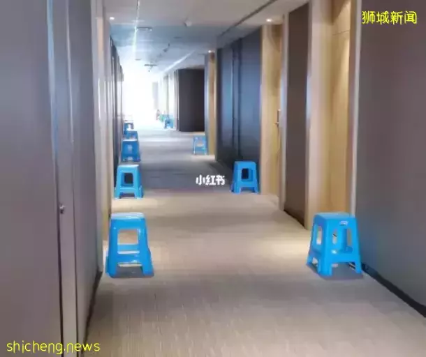 中国新加坡航班再熔断，仅剩5条航线！熔断前我“逃”回了中国