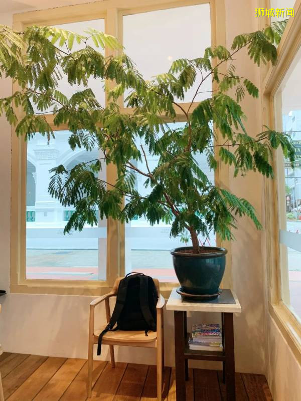 小長假，這家寶藏店的隱藏菜單“榴梿下午茶”全新加坡性價比最高，一起吃起來呀