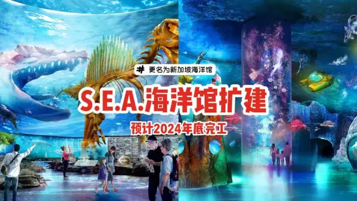 圣淘沙S.E.A.海洋馆将扩建，规模扩大至三倍！更名成为新加坡海洋馆，预计2024年底完工🌊