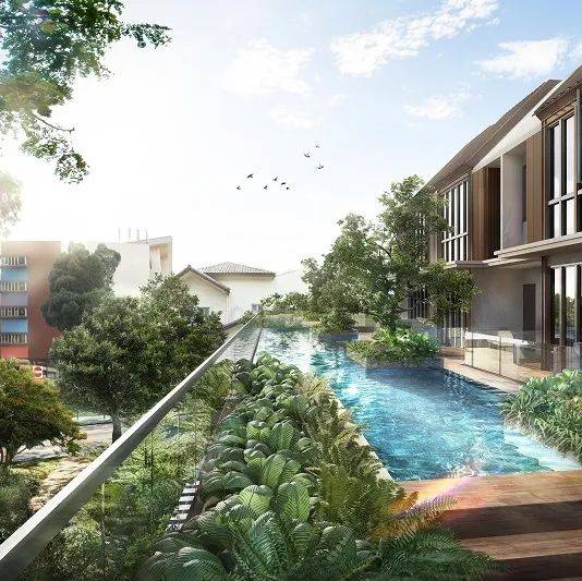 全球名校认可的高中国际文凭,新加坡学生通过率近98%