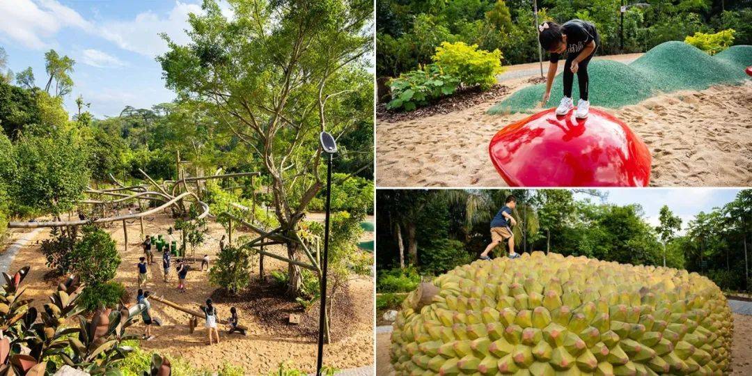 新加坡植物園爆火新景點,不知道怎麽去?手把手教你遊玩攻略