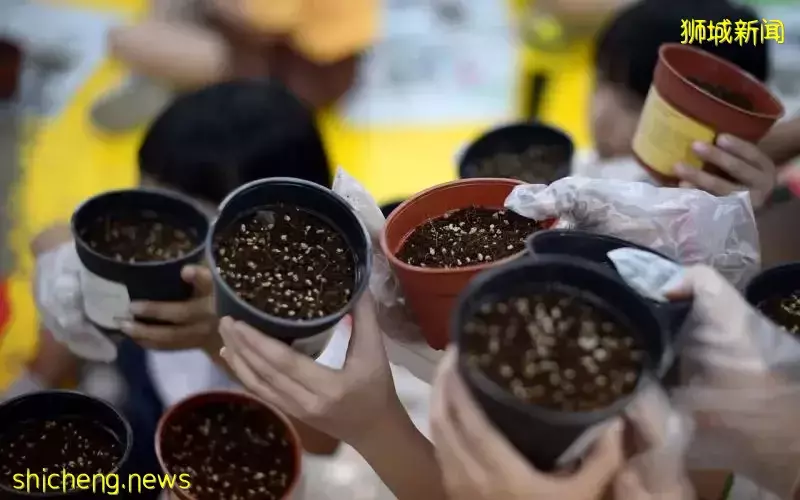 每名小三生获三份植物种子 培养对大自然兴趣