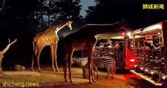 去新加坡旅遊，我保證你連機場都走不出去