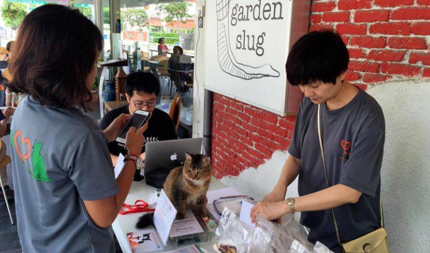 新加坡留學 你永遠都不會知道的關于新加坡的25個冷知識，知道五個算我輸