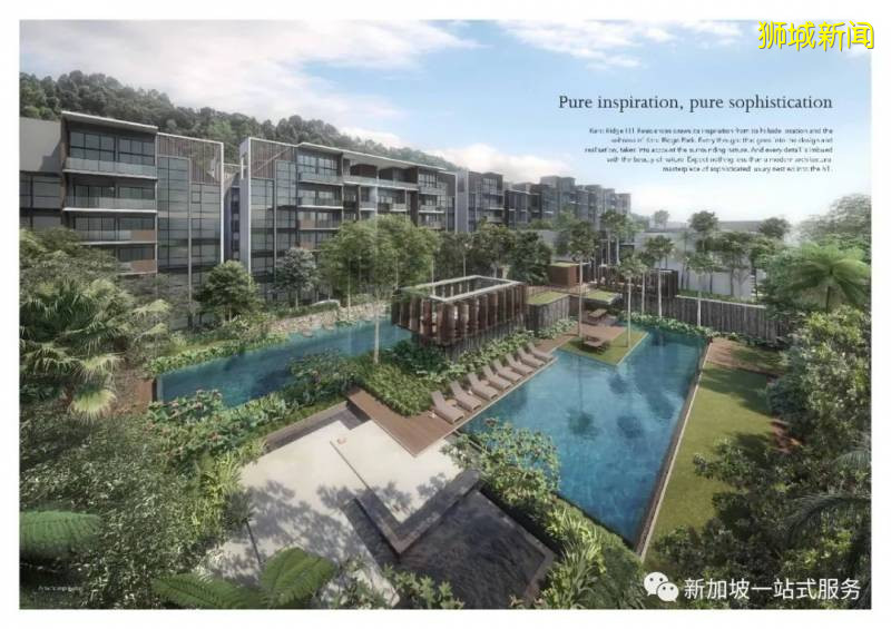 新加坡大學優勢和申請新