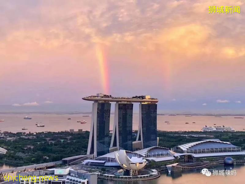 神兽出山！新加坡复课第一天，朝霞万丈!