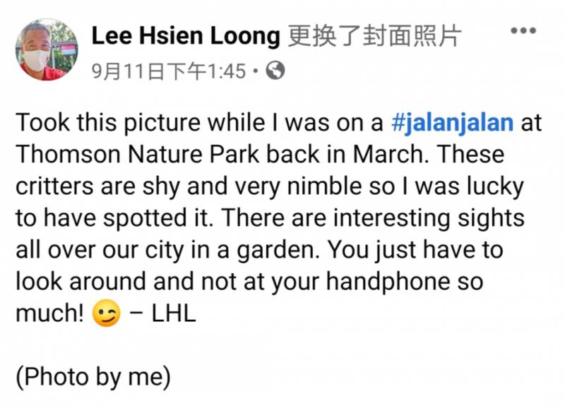 李顯龍總理發了這張小動物照片，竟引來無數人自曝