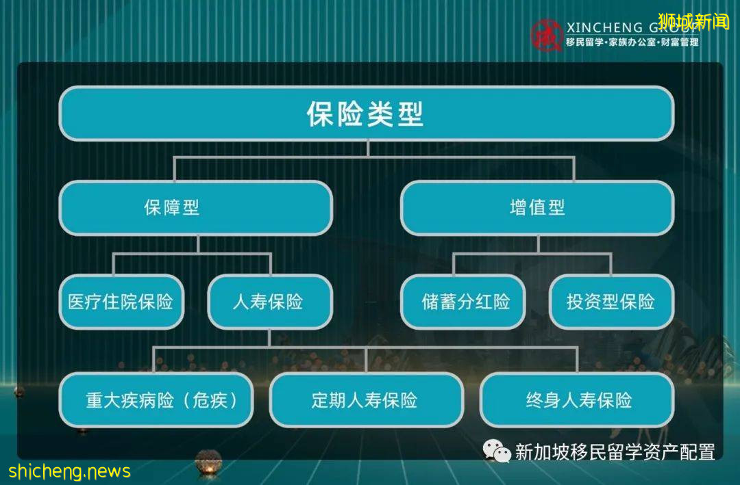 新加坡险VS港险,谁家更优秀