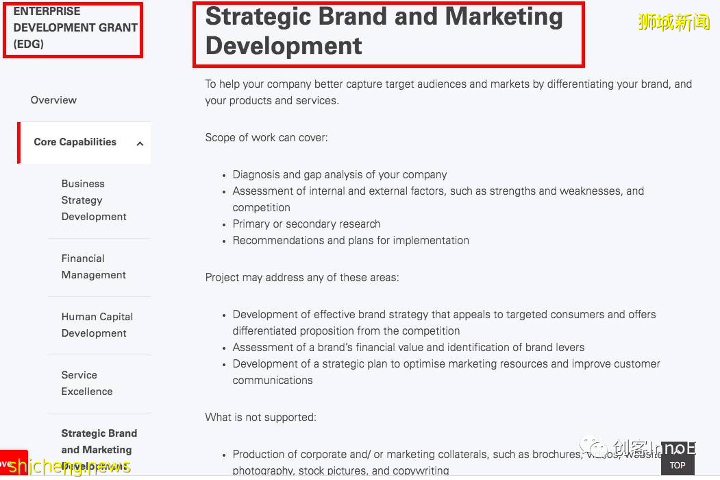 办实事!新加坡政府出钱,帮你重塑品牌扩大销售