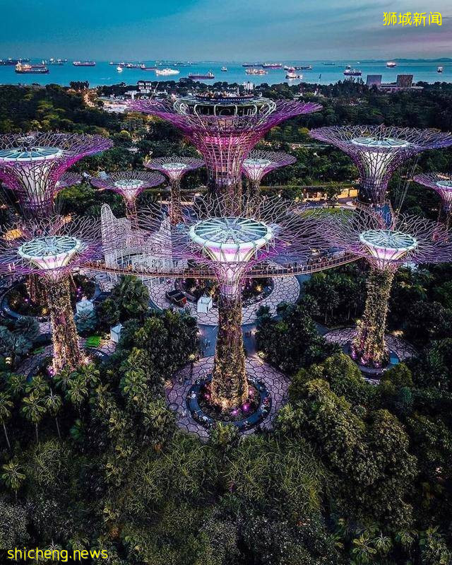 豪撒千亿,新加坡重启可持续发展