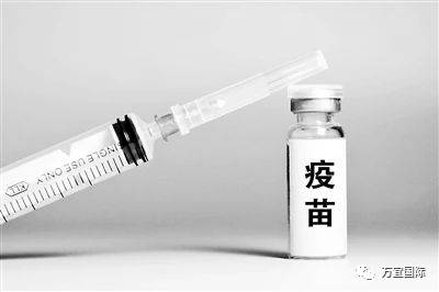 新加坡可以买疫苗啦!价格只要600块人民币