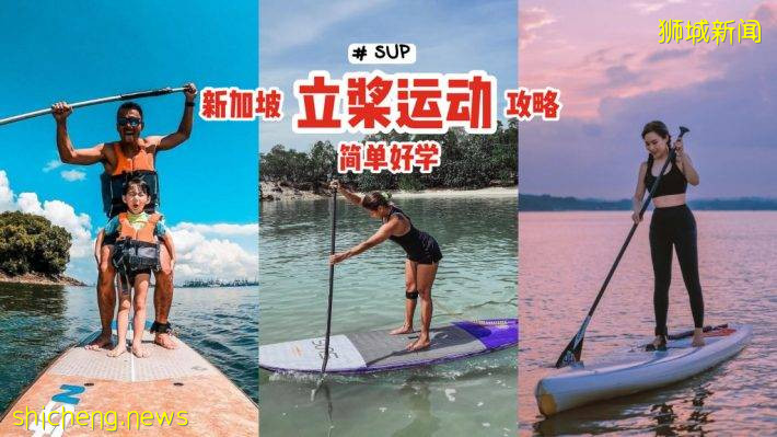 夏日最夯的水上运动！新加坡SUP立桨攻略💦简单好学、站在冲浪板上划水🌊
