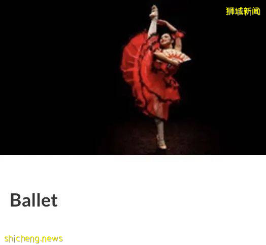 一年一度！新加坡家長都在這裏通宵打地鋪排隊，到底在搶啥