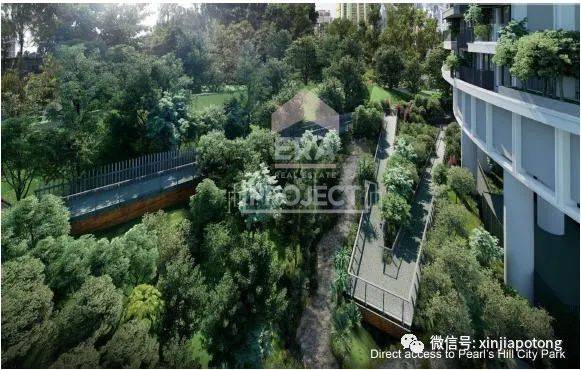 新币兑人民币暴跌!听说这几天入境新加坡的中国“游客”,可能是为了这件事