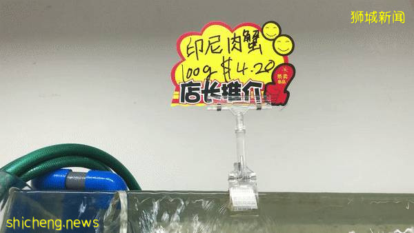 超劃算中國超市！$0.6鮑魚、$8麻辣小龍蝦、活鲫魚、80種海鮮、100多種面食