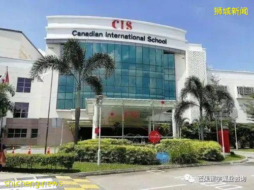 新加坡加拿大國際學校,承包了國際IB課程和王牌雙語項目