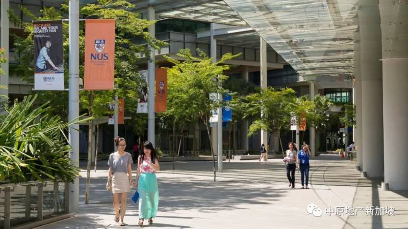 想就读新加坡大学的你 还在犹豫什么