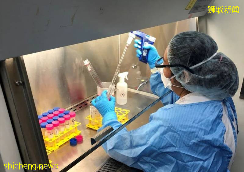 病例連續5天下降!新加坡用這項新技術,追蹤病毒傳播!