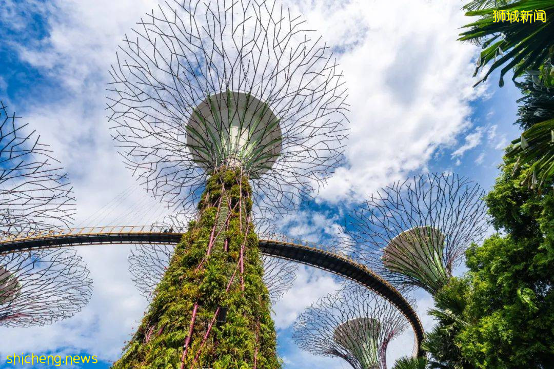 爲什麽上市公司老板都喜歡移民新加坡？移民新加坡的六個優勢