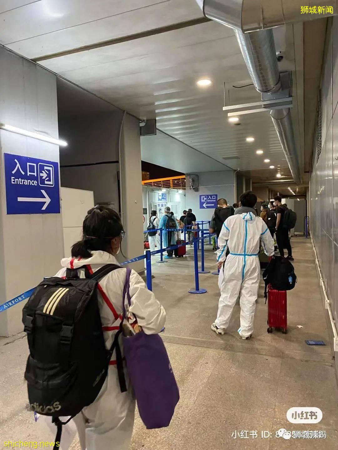 最近回国的朋友看过来!从新加坡飞上海全程直播