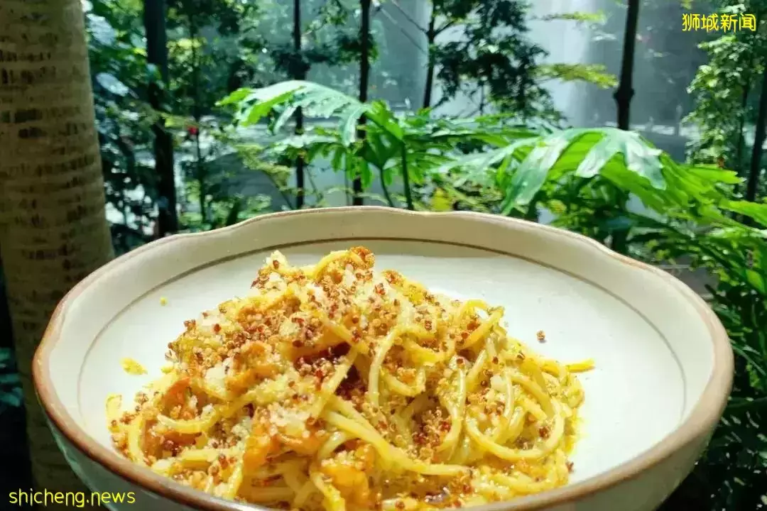 橫跨全島,我娃也要到這裏來玩,這個新加坡最佳遛娃地到底有什麽魅力