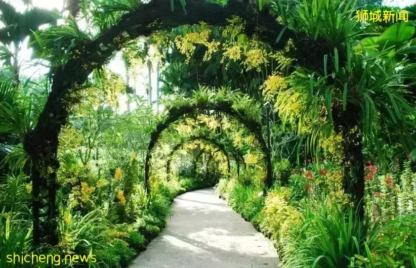 在新加坡，滿足這些標准才能稱得上是豪宅