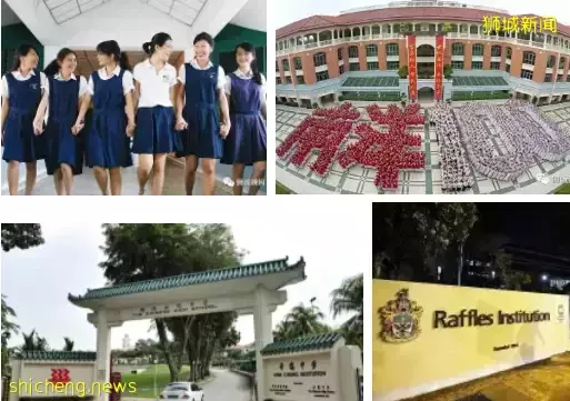 新加坡小學天才班、PSLE即將開考！如何最後沖刺