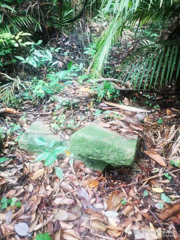 勇闯麦里芝被遗忘的神社,狂风暴雨下惊险求生