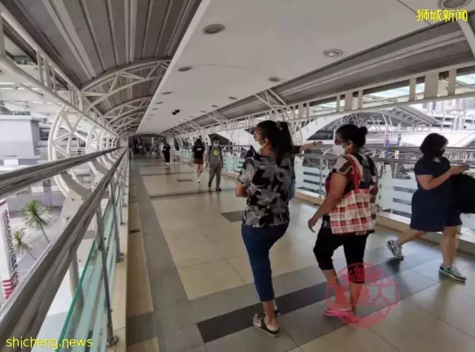 堵堵堵!新加坡的周末实在太堵了,这个地方人和车排长队