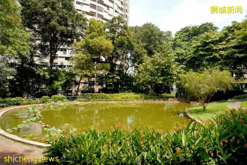 第2个周末，新加坡路上超多人！吐血推荐15个人少好玩的地方