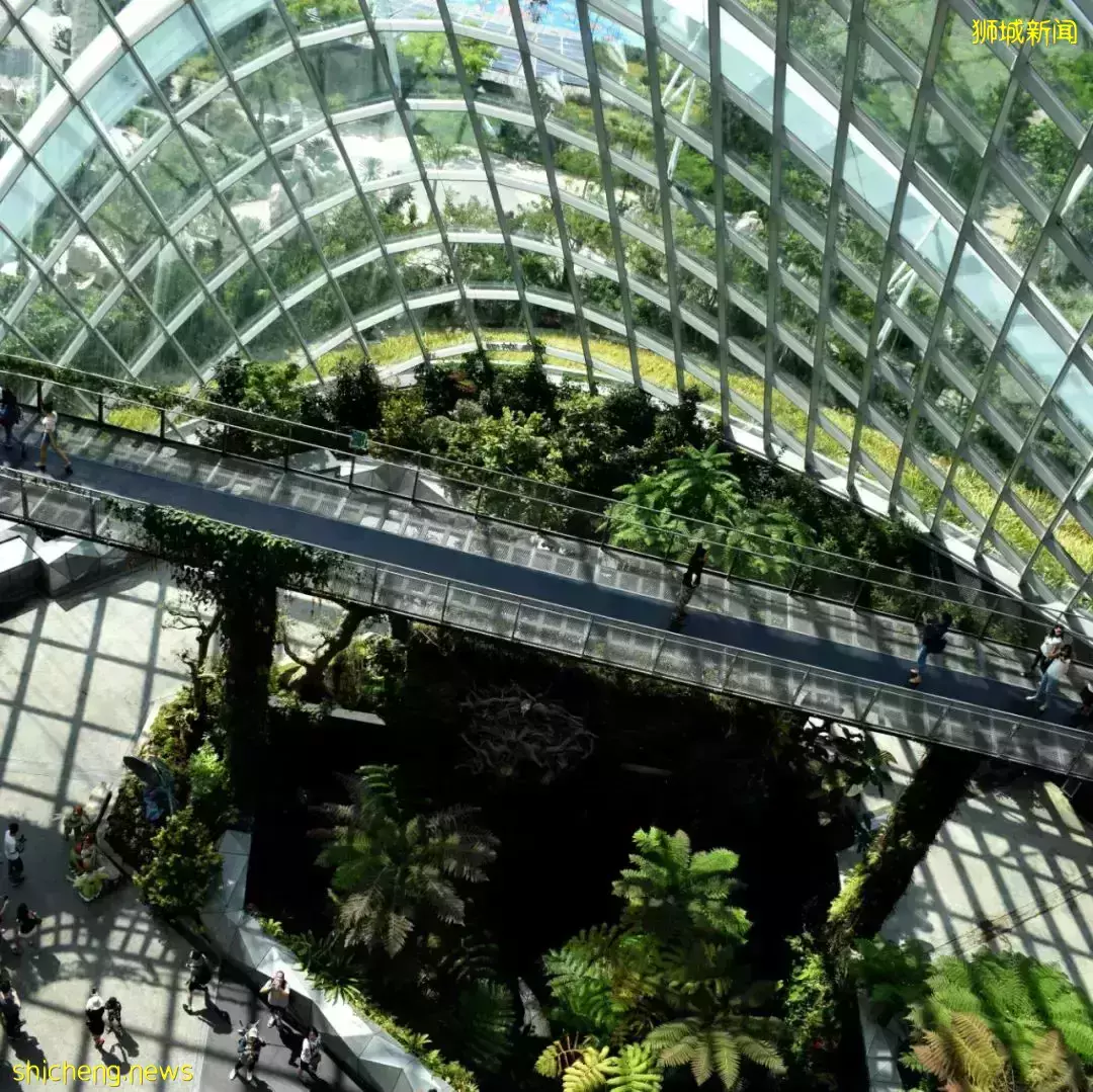 新加坡 中國高淨值人士喜歡購置哪幾類海外房産