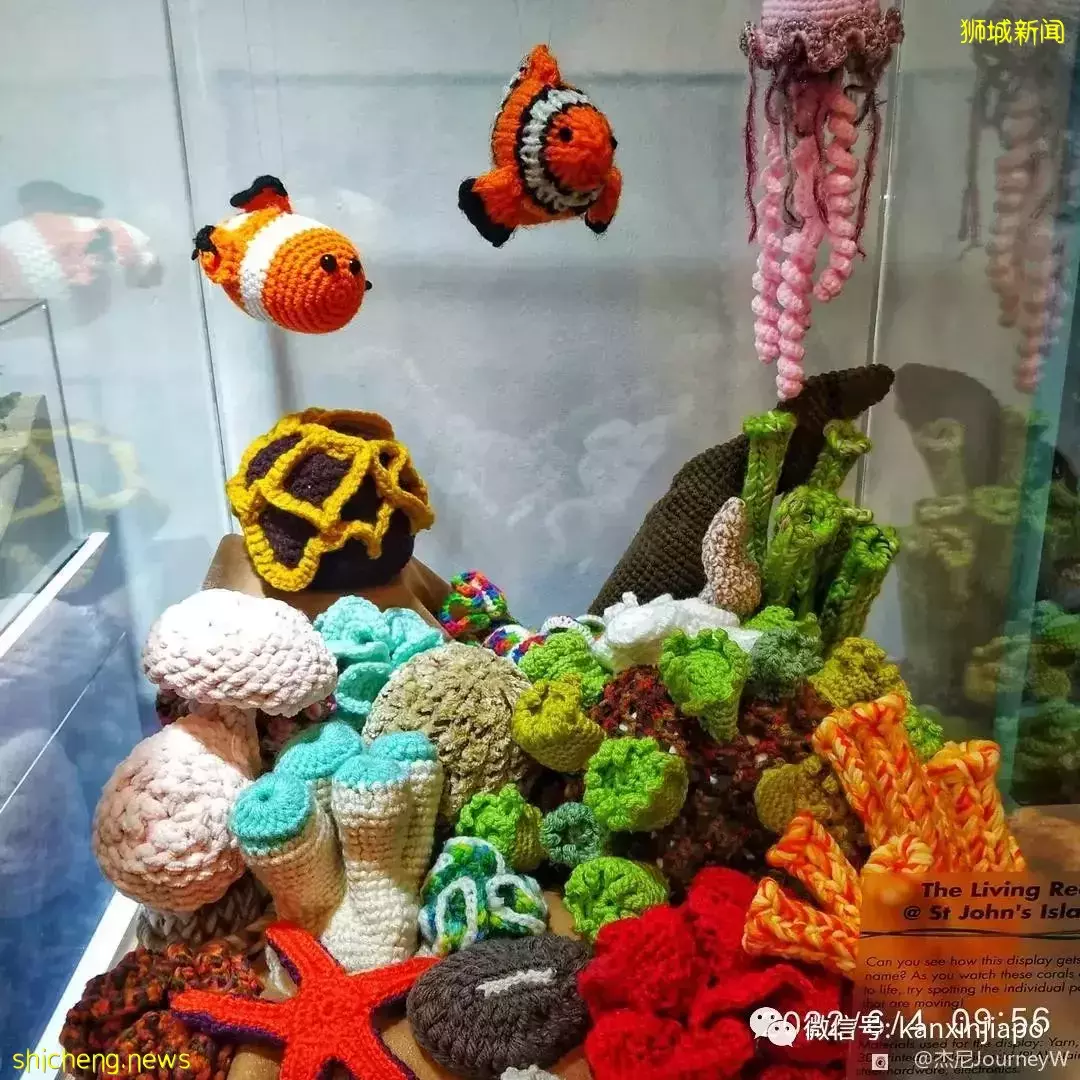 新加坡离岛攻略,半个多小时便能收获美景天堂