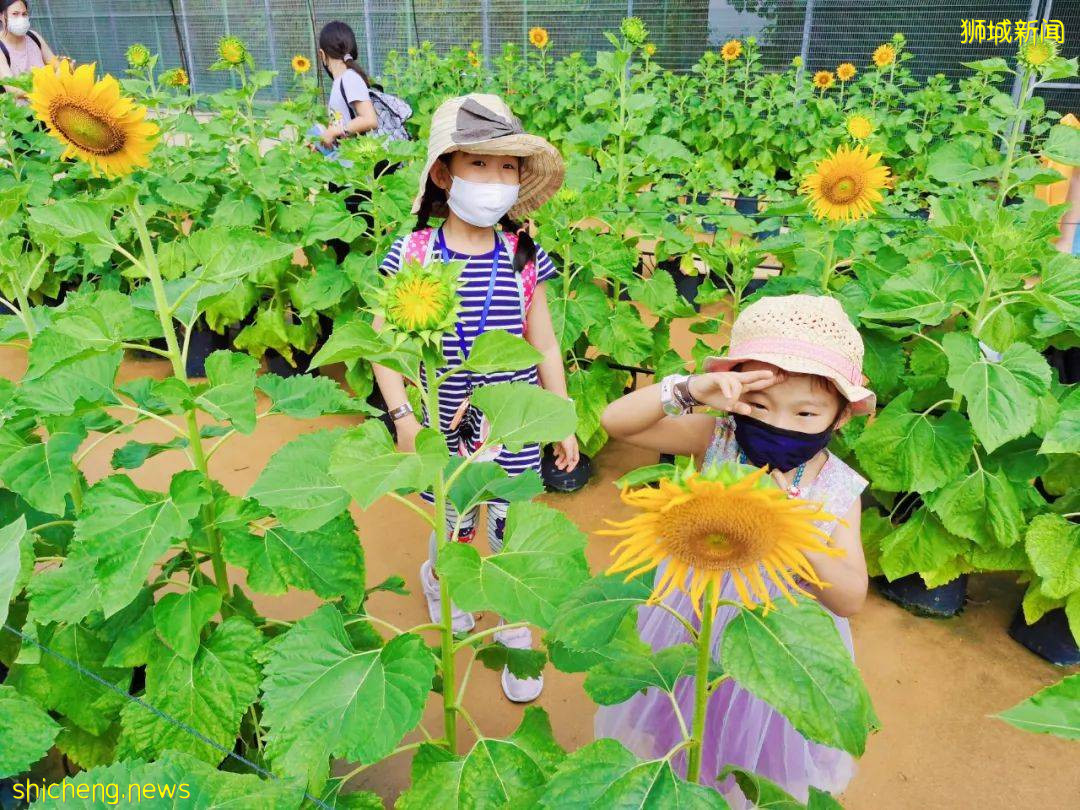 免費送票！$58就能露營機場，兩天一夜住帳篷，快搶