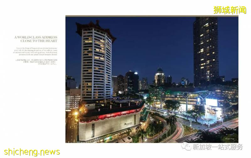 最美麗的自然風光: 新加坡植物園!