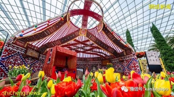 【下周活动】双十一大促提前抢!戴森特惠、Innisfree精华买一送一、潮州美食节、小黄人咖啡馆