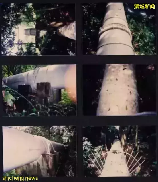 打击恐怖主义行动20周年,李总理:新加坡社区须保持警惕