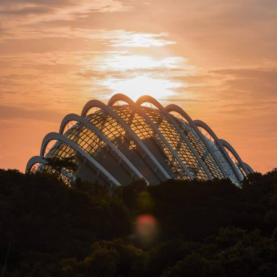 亞洲最大玻璃雕塑展！濱海灣花園迎來超過100件藝術展覽品💥 世界頂級藝術家作品，海外直飛到新加坡
