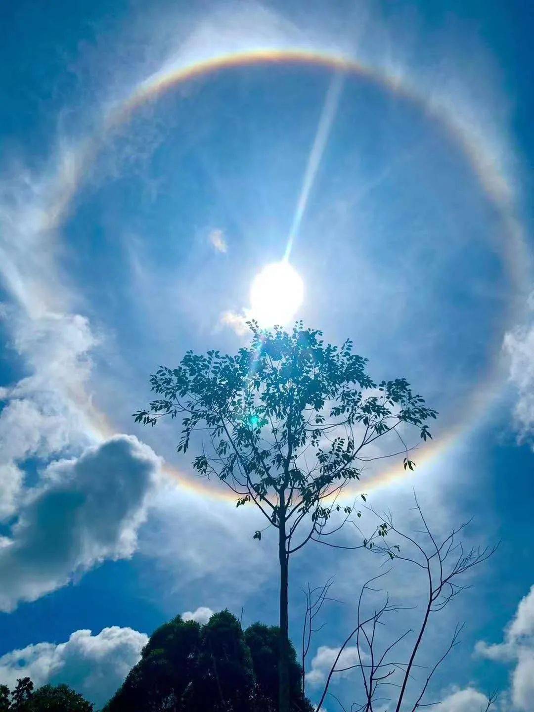 罕见!新加坡再现神奇天象,万道光芒从天空射下,50张美图刷屏
