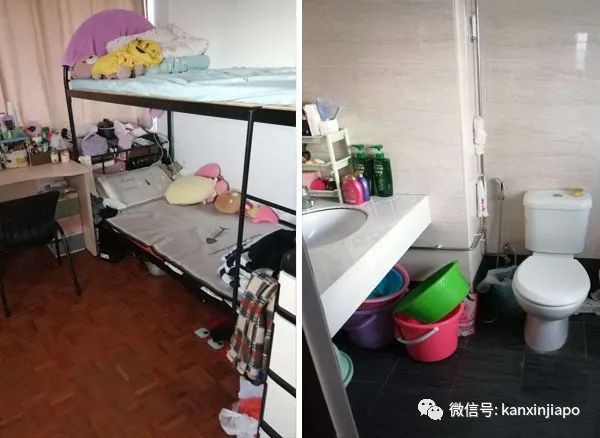 新加坡全岛各区好房自己如何找？搭房月租低至280新币